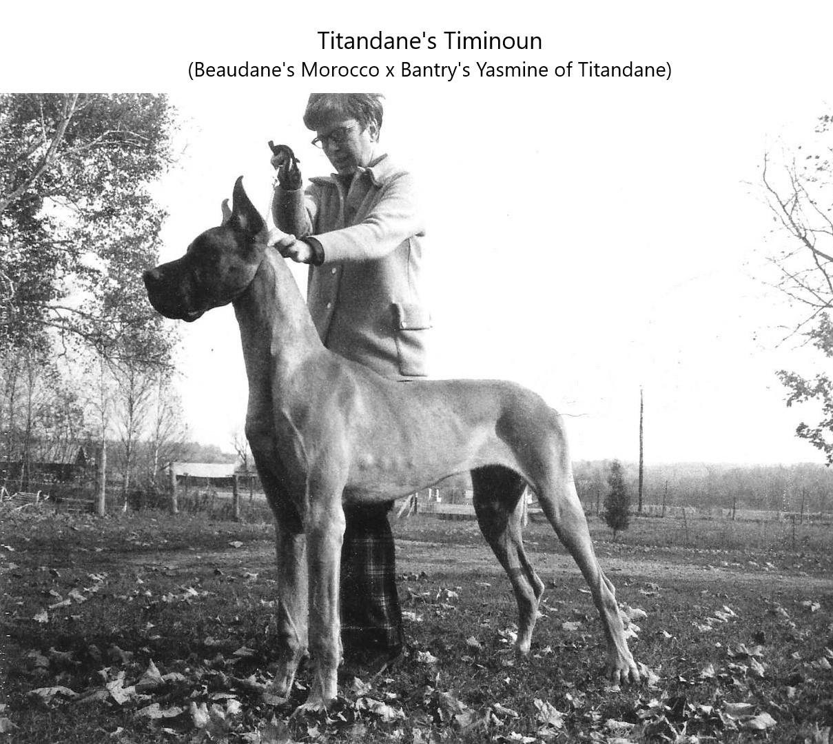 Titandanes Timimoun 8mos Oct 1973